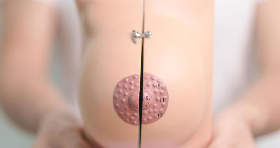 woman-holding-breast-anatomy-model-breast-augment-2025-03-08-07-46-29-utc-scaled